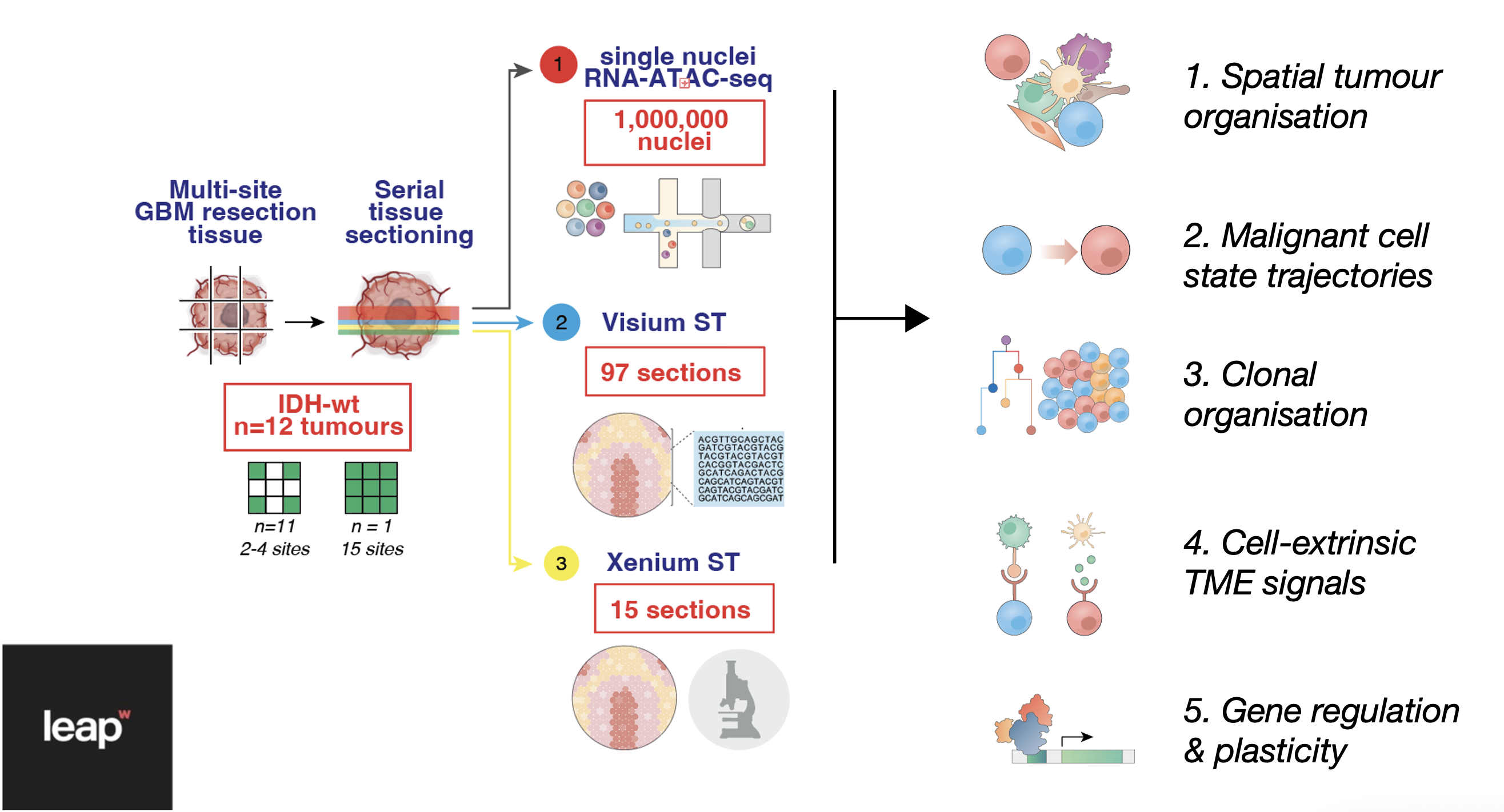 GBM-Space project overview