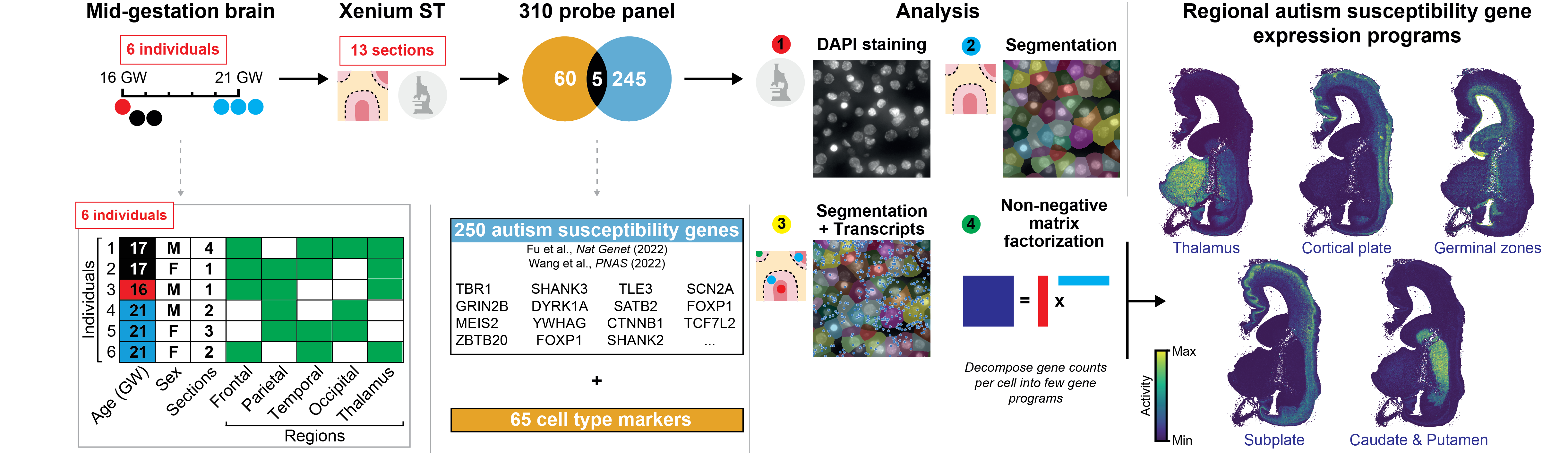 GBM-Space project overview