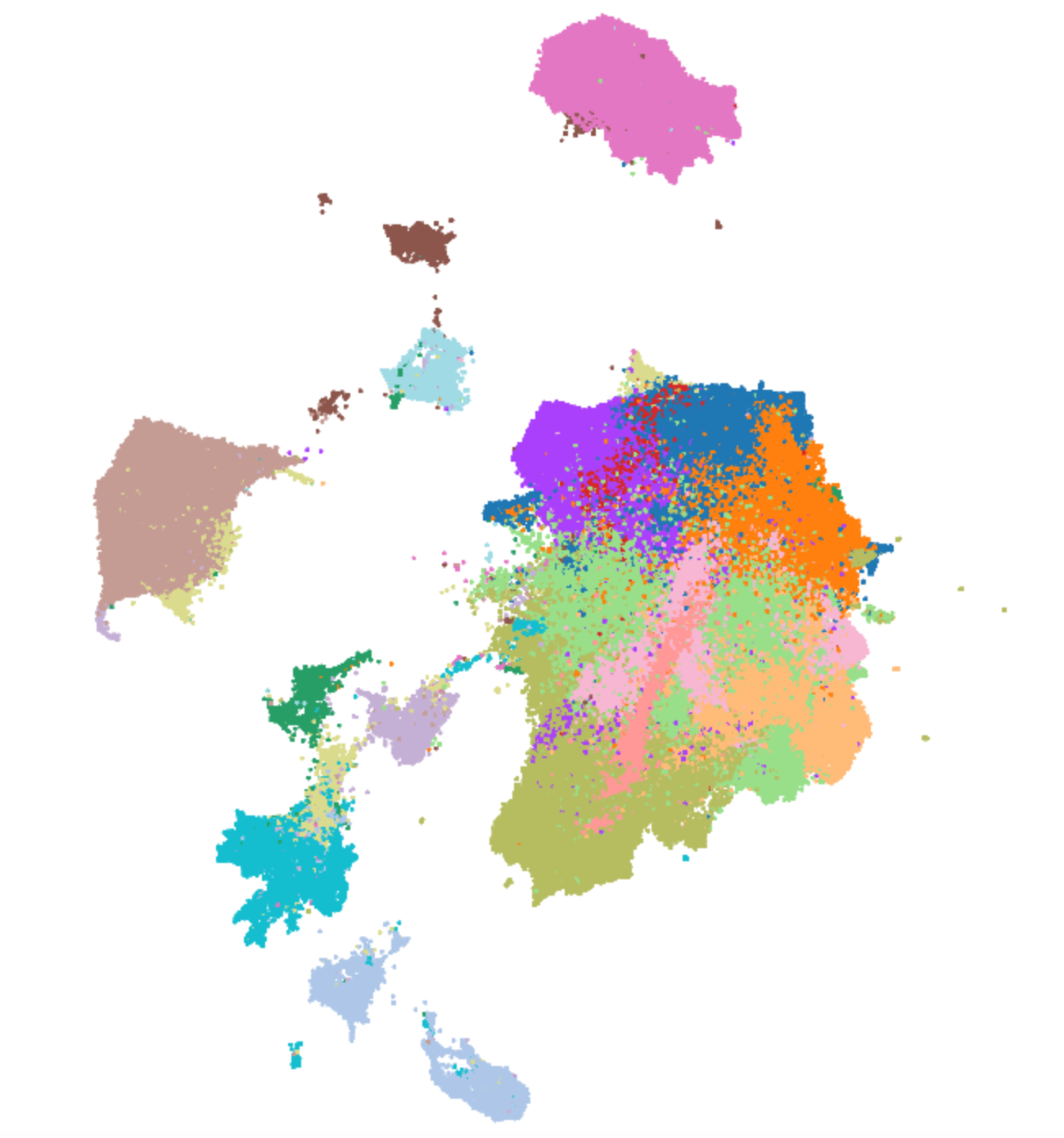 UMAP of snRNAseq data